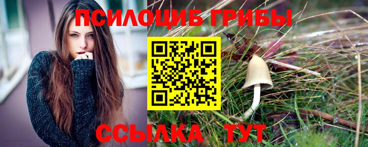 Галлюциногенные грибы Psilocybine cubensis Сатка