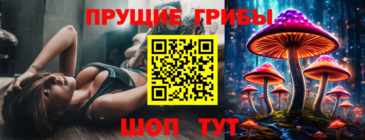 Псилоцибиновые грибы GOLDEN TEACHER  Вход с VPN  Сатка  магазин продажи наркотиков  Галлюциногенные грибы Psilocybine cubensis 